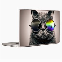 Theskinmantra Cat Cool Laptop Decal 13.3   Laptop Accessories  (Theskinmantra)