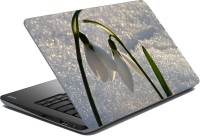meSleep Flower LS-52-134 Vinyl Laptop Decal 15.6   Laptop Accessories  (meSleep)