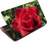 View Finest Flower FL48 Vinyl Laptop Decal 15.6 Laptop Accessories Price Online(Finest)