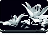 Box 18 White Flowers397 Vinyl Laptop Decal 15.6   Laptop Accessories  (Box 18)