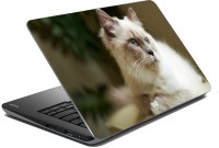 meSleep Cat 70-567 Vinyl Laptop Decal 15.6   Laptop Accessories  (meSleep)