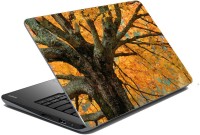 meSleep Nature 66-567 Vinyl Laptop Decal 15.6   Laptop Accessories  (meSleep)