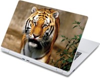 ezyPRNT Tiger's Royal Moves Wildlife (13 to 13.9 inch) Vinyl Laptop Decal 13   Laptop Accessories  (ezyPRNT)