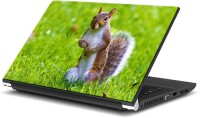 ezyPRNT Cute Squirrel (15 to 15.6 inch) Vinyl Laptop Decal 15   Laptop Accessories  (ezyPRNT)