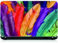 View Ng Stunners Hd Feathers Colourful Vinyl Laptop Decal 15.6 Laptop Accessories Price Online(Ng Stunners)