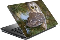 meSleep Wild Life 70-473 Vinyl Laptop Decal 15.6   Laptop Accessories  (meSleep)