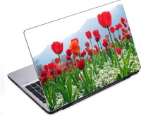 ezyPRNT Beautiful Lily Flower Garden (14 to 14.9 inch) Vinyl Laptop Decal 14   Laptop Accessories  (ezyPRNT)