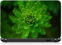 VI Collections GREEN FLOWER ABSTRACT pvc Laptop Decal 15.6   Laptop Accessories  (VI Collections)