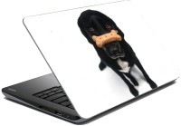 meSleep Dog LS-57-047 Vinyl Laptop Decal 15.6   Laptop Accessories  (meSleep)