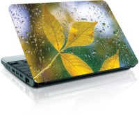 Shopmania rainy Season Vinyl Laptop Decal 15.6   Laptop Accessories  (Shopmania)