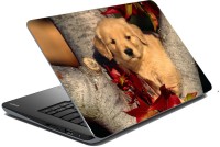 meSleep Dog LS-57-132 Vinyl Laptop Decal 15.6   Laptop Accessories  (meSleep)