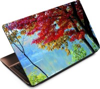 Finest Autumn ATM049 Vinyl Laptop Decal 15.6   Laptop Accessories  (Finest)