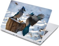ezyPRNT Lets Eat Together! Birds (13 to 13.9 inch) Vinyl Laptop Decal 13   Laptop Accessories  (ezyPRNT)