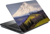 meSleep Nature LS-52-324 Vinyl Laptop Decal 15.6   Laptop Accessories  (meSleep)