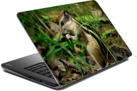 meSleep Wild life SkinLS-33-343 Vinyl Laptop Decal 15.6   Laptop Accessories  (meSleep)