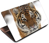 Anweshas Tiger T083 Vinyl Laptop Decal 15.6   Laptop Accessories  (Anweshas)