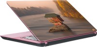Dspbazar DSP BAZAR 7174 Vinyl Laptop Decal 15.6   Laptop Accessories  (DSPBAZAR)