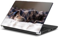 Dadlace Sleeping cat Vinyl Laptop Decal 13.3   Laptop Accessories  (Dadlace)