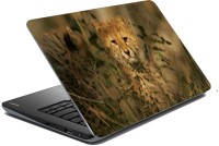 meSleep Tiger 70-344 Vinyl Laptop Decal 15.6   Laptop Accessories  (meSleep)