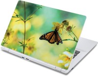 ezyPRNT Busy Butterfly (13 to 13.9 inch) Vinyl Laptop Decal 13   Laptop Accessories  (ezyPRNT)
