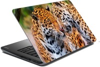 meSleep Tiger 70-027 Vinyl Laptop Decal 15.6   Laptop Accessories  (meSleep)