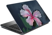 meSleep Nature LS-33-011 Vinyl Laptop Decal 15.6   Laptop Accessories  (meSleep)