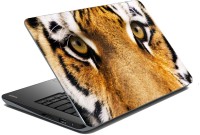 meSleep Lion 70-160 Vinyl Laptop Decal 15.6   Laptop Accessories  (meSleep)