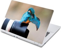 ezyPRNT Blue Bird with Camera (13 to 13.9 inch) Vinyl Laptop Decal 13   Laptop Accessories  (ezyPRNT)