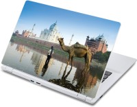 ezyPRNT Beautiful Camel Pet Animal (13 to 13.9 inch) Vinyl Laptop Decal 13   Laptop Accessories  (ezyPRNT)