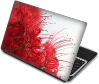 Shopmania Red Flowers Vinyl Laptop Decal 15.6   Laptop Accessories  (Shopmania)