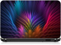 VI Collections COLORFULL FEATHERS pvc Laptop Decal 15.6   Laptop Accessories  (VI Collections)