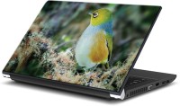 ezyPRNT Cute Bird Sit (15 to 15.6 inch) Vinyl Laptop Decal 15   Laptop Accessories  (ezyPRNT)