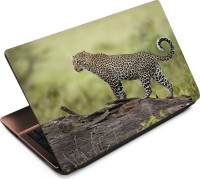 View Anweshas Leopard LP049 Vinyl Laptop Decal 15.6 Laptop Accessories Price Online(Anweshas)