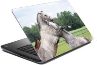 meSleep Wild Life LS-48-109 Vinyl Laptop Decal 15.6   Laptop Accessories  (meSleep)