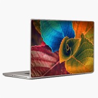 Theskinmantra Coloured Leaves Laptop Decal 13.3   Laptop Accessories  (Theskinmantra)