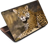 Anweshas Leopard LP039 Vinyl Laptop Decal 15.6   Laptop Accessories  (Anweshas)