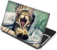 Shopmania Lazy cat Vinyl Laptop Decal 15.6   Laptop Accessories  (Shopmania)