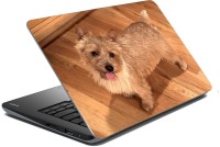 meSleep Dog LS-57-155 Vinyl Laptop Decal 15.6   Laptop Accessories  (meSleep)