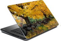 meSleep Nature 66-494 Vinyl Laptop Decal 15.6   Laptop Accessories  (meSleep)
