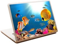 View SPECTRA Fish Vinyl Laptop Decal 15.6 Laptop Accessories Price Online(SPECTRA)