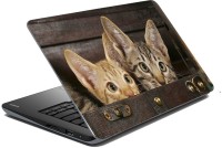 meSleep Cat 70-547 Vinyl Laptop Decal 15.6   Laptop Accessories  (meSleep)