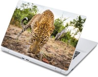 ezyPRNT Close up with Panther (13 to 13.9 inch) Vinyl Laptop Decal 13   Laptop Accessories  (ezyPRNT)