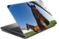 meSleep Horse 70-281 Vinyl Laptop Decal 15.6   Laptop Accessories  (meSleep)