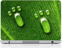 Finest Water Drop Foot Vinyl Laptop Decal 15.6   Laptop Accessories  (Finest)
