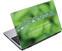 ezyPRNT The Drops on Bamboo Leaf (14 to 14.9 inch) Vinyl Laptop Decal 14   Laptop Accessories  (ezyPRNT)