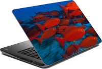 meSleep Fish LS-27-270 Vinyl Laptop Decal 15.6   Laptop Accessories  (meSleep)