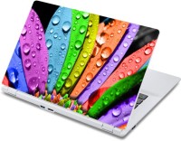 ezyPRNT The Colorful Leaves with droplets Nature (13 to 13.9 inch) Vinyl Laptop Decal 13   Laptop Accessories  (ezyPRNT)