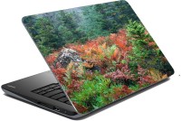 meSleep Nature 66-699 Vinyl Laptop Decal 15.6   Laptop Accessories  (meSleep)