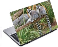 ezyPRNT Long Tailed Lemurs Wildlife (14 to 14.9 inch) Vinyl Laptop Decal 14   Laptop Accessories  (ezyPRNT)