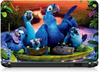 Box 18 Rio Parrots 227890 Vinyl Laptop Decal 15.6   Laptop Accessories  (Box 18)